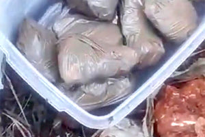 Η αρχή με το... χρυσοφόρο λιόφυτο έγινε όταν οι αστυνομικοί ξέθαψαν το τάπερ με τα 850 γρ. κοκαΐνης