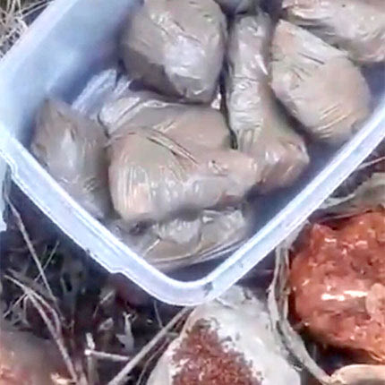 Η αρχή με το... χρυσοφόρο λιόφυτο έγινε όταν οι αστυνομικοί ξέθαψαν το τάπερ με τα 850 γρ. κοκαΐνης