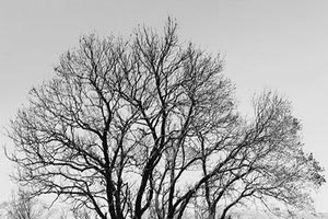 Ξεπέρασε τις 1.300 προβολές σε μόλις 2 μέρες το ντοκιμαντέρ “Ashes”