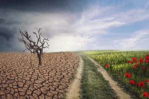 Η Τεχνητή Νοημοσύνη μπορεί να σώσει τον πλανήτη;