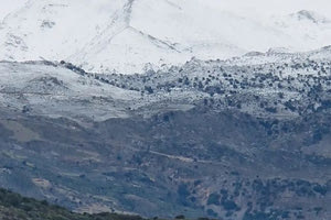 Κλειστά τα Σχολεία στη Βιάννο