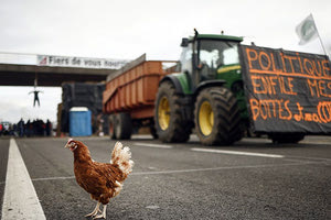 Εξαιρέσεις για την Κοινή Αγροτική Πολιτική περιλαμβάνει σχετικό έγγραφο της Κομισιόν, που εστάλη σε όλα τα κράτη – μέλη χθες