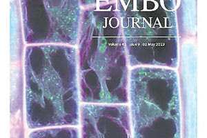 ΧΡΗΜΑΤΟΔΟΤΗΣΗ ΤΟΥ ΔΡ ΠΑΝΑΓΙΩΤΗ Ν. ΜΟΣΧΟΥ ΓΙΑ ΤΗ ΜΕΛΕΤΗ ΜΗΧΑΝΙΣΜΩΝ ΠΡΟΣΑΡΜΟΓΗΣ ΤΩΝ ΦΥΤΩΝ ΣΤΗΝ ΚΛΙΜΑΤΙΚΗ ΑΛΛΑΓΗ Σε τομέα ερευνητή του ΙΤΕ το πρώτο ευρωπαϊκό πρόγραμμα που χορηγείται στην Ελλάδα