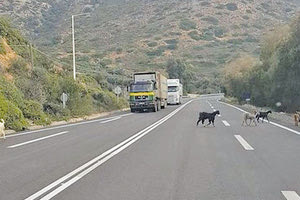 Κακά τα ψέματα, ο ΒΟΑΚ είναι… κατσικόδρομος κι όχι σύγχρονος αυτοκινητόδρομος.