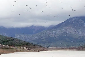 Μια εικόνα από το φράγμα Αποσελέμη με τα... πουλιά και το νερό που δίνουν ελπίδα για τη ζωή. Φωτογραφία Σπύρος Λιανάκης.