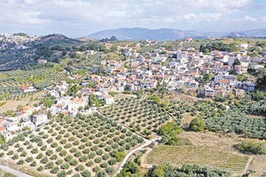 ΦΗ εξωστρέφεια της αγροτικής οικονομίας πάει στον... Αγιο Μύρωνα