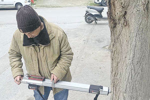 Εξετάζουν τα... δέντρα