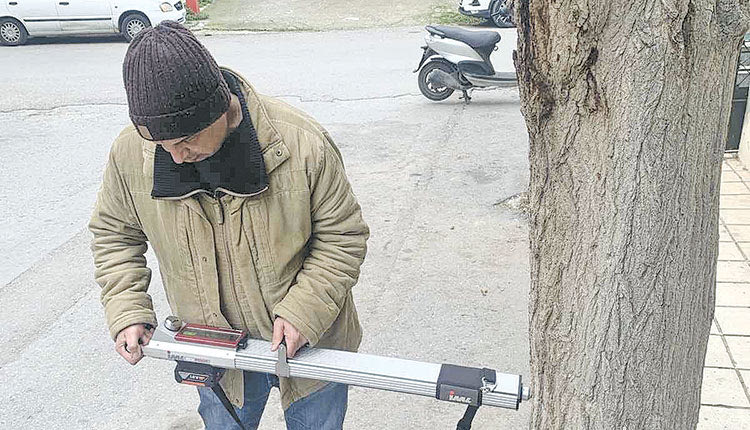Εξετάζουν τα... δέντρα