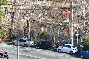 Αυτή η εικόνα με τα ξερά δέντρα προκαλεί μεγάλο προβληματισμό στους Ηρακλειώτες και εγείρει σοβαρά ερωτηματικά μετά και την πρόσφατη πτώση δέντρου στην οδό Σγουρομαλίνης.