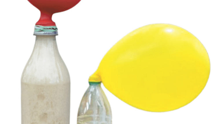 ΜΙΑ ΣΥΝΑΡΠΑΣΤΙΚΗ ΠΑΡΑΣΤΑΣΗ ΣΤΟ ΜΟΥΣΕΙΟ ΦΥΣΙΚΗΣ ΙΣΤΟΡΙΑΣ
Οι  νόμοι 
της φύσης στον 
κόσμο γύρω μας