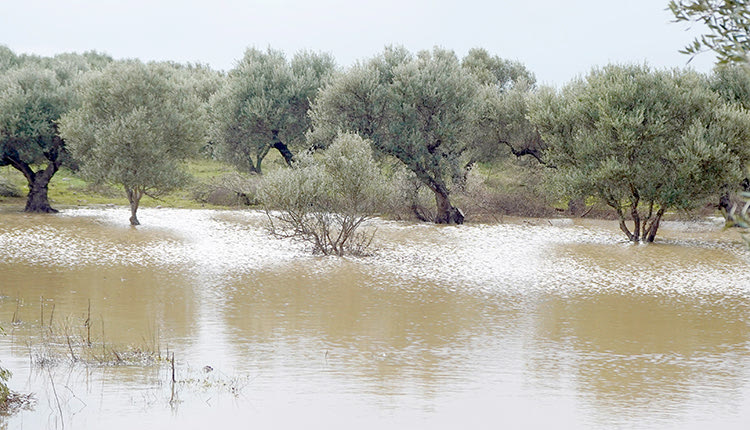 Ολοκληρωμένο πλάνο για τα αντιπλημμυρικά του Καστελλίου έχει καταθέσει προς το αρμόδιο υπουργείο ο Δήμος