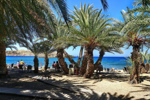 Κινδυνεύει το φοινικόδασος!