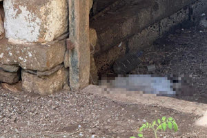 Συνεχίζουν να εντοπίζουν νεκρές γάτες στην περιοχή!