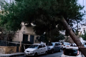 Συναγερμός από επικίνδυνη κλίση δέντρου στο Μασταμπά