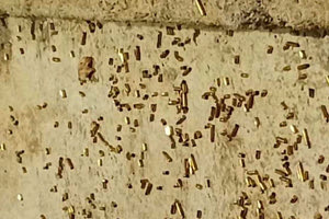 Βάπτιση: Οι σφαίρες θα γέμιζαν και την κολυμβήθρα!