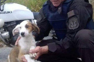 Οι αστυνομικοί προσπάθησαν να σώσουν το σκυλάκι στον δρόμο