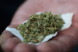 Και καφετζής και… χασισοκαλλιεργητής