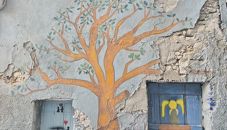 ΜΠΕΤΕΙΝΑΚΗ ΦΩΤΟ