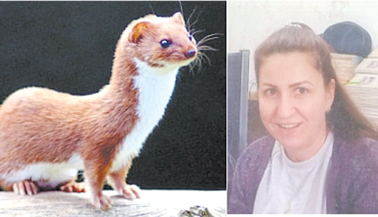 Της νυφιτσας τα καμώματα