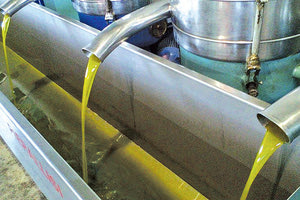 Λάδι: Τιμή έχει, το απόθεμα μικρό και η νέα σοδειά είναι αβέβαιη