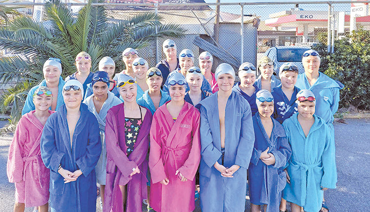 Η ομάδα των Δελφινιών