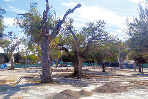 Τέλη Σεπτεμβρίου ανοίγει το εργοτάξιο μπροστά από τις καφετέριες της πλ. Ελευθερίας