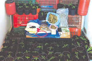 Τα ναρκωτικά που κατασχέθηκαν