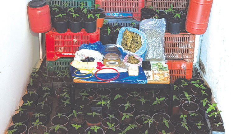 Τα ναρκωτικά που κατασχέθηκαν