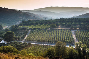 ΤΙ ΛΕΕΙ Ο ΑΝΤΙΔΗΜΑΡΧΟΣ ΜΑΝ. ΧΑΙΡΕΤΗΣ Το σχέδιο του δήμου για την ύπαιθρο
