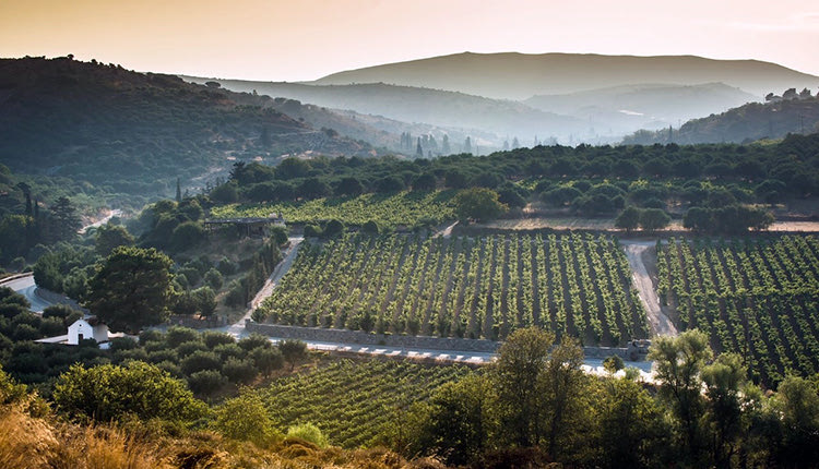 ΤΙ ΛΕΕΙ Ο ΑΝΤΙΔΗΜΑΡΧΟΣ ΜΑΝ. ΧΑΙΡΕΤΗΣ Το σχέδιο του δήμου για την ύπαιθρο