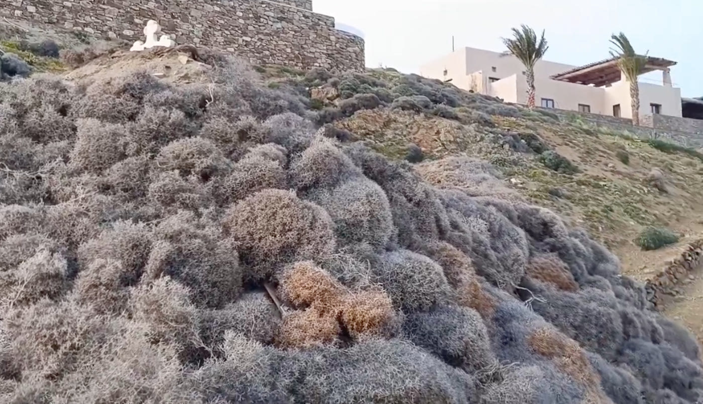 thameno-eklisaki-mikonos