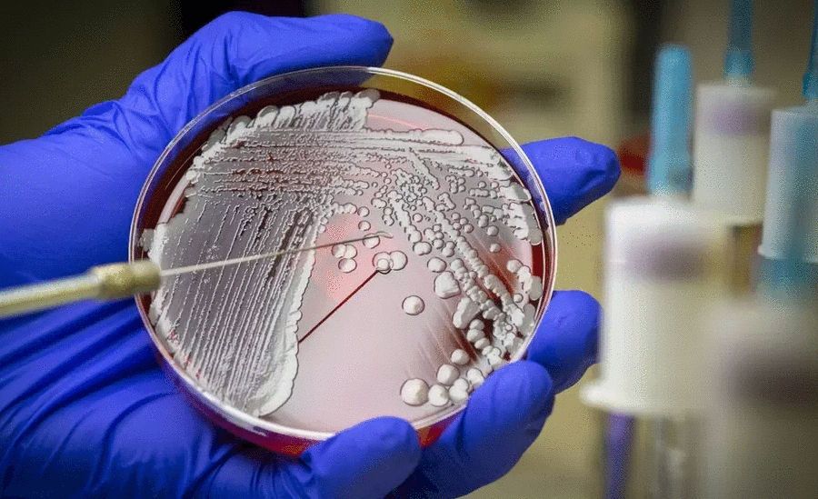 Τα μικρόβια κάνουν πάρτυ και στα νοσοκομεία της Κρήτης