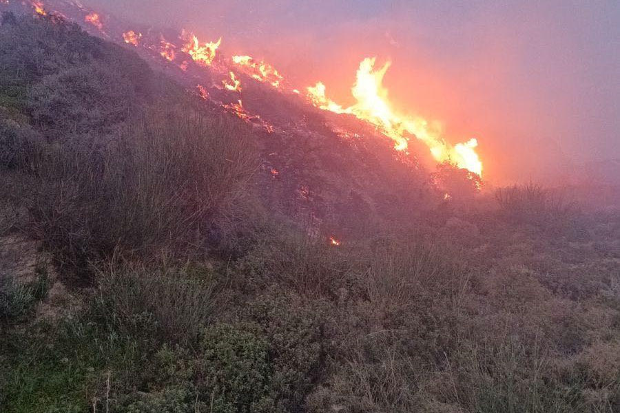 Σε ύφεση η φωτιά στη Σητεία – οι ισχυροί άνεμοι δυσχεραίνουν το έργο των πυροσβεστών