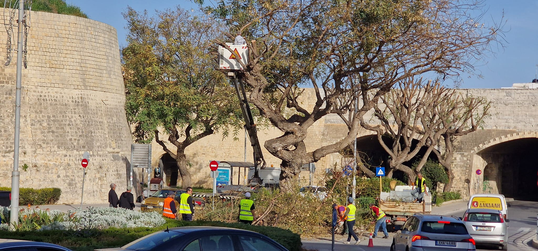 κλαδεμα-δεντρα