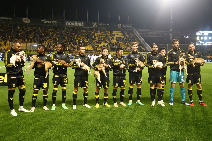 Άρης – Λαμία: Οι παίκτες των “κίτρινων” βγήκαν με κουτάβια στην αγκαλιά τους