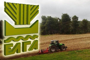 Οι «πατάτες» του Μαξίμου…Τα δικά της «μπλόκα» έχει στήσει η κυβέρνηση! Γιατί παθαίνουν αμνησία, όσοι περνάνε την πόρτα της Εξεταστικής; Την…αστρολόγο περιμένει η Καρυστιανού για να λάβει τις τελικές της αποφάσεις…