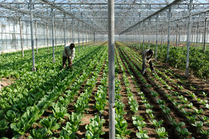 Κλοπή… case study: Πως κατάφεραν να αποσπάσουν τα χρήματα από τον εργοδότη τους