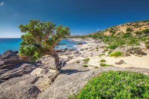 Τριαντάρια  και ισχυροί άνεμοι έρχονται αύριο στην Κρήτη