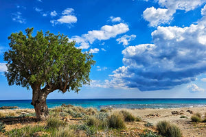 Κράτα , Ξερόκαμπε !