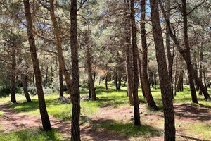 Απαγόρευση κυκλοφορίας σε περιοχές NATURA, δασικά οικοσυστήματα, πάρκα και άλση της Κρήτης