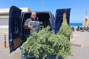 Τα δροσερά ρεβίθια των παιδικών μας χρόνων στο λιμάνι !