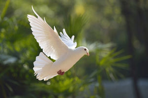 Αγίου Πνεύματος: Πότε πέφτει το τριήμερο