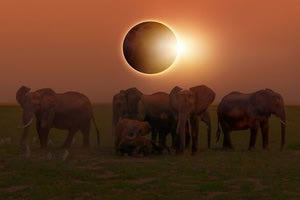 Ολική έκλειψη ηλίου 2024: Πότε είναι και πώς μπορείτε να την δείτε