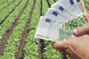 Πρόεδρος ΟΠΕΚΕΠΕ: «Μη υπαρκτή η πληρωμή 14 εκατ. ευρώ σε παραγωγό»