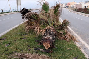 Θανατηφόρο στην παραλιακή: Το κράνος και η κατάρα του φοίνικα