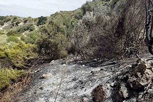 Αμετανόητοι ορισμένοι καίνε τα υπολείμματα καλλιεργειών παρά τις απαγορεύσεις