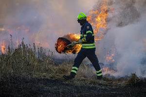 Πυρκαγιά σε δασώδη περιοχή του Εθνικού Δρυμού Σαμαριάς