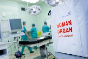 Μέσα σε λίγες μέρες μια ακόμη Ηρακλειώτισσα δίνει ζωή με τον θάνατό της !