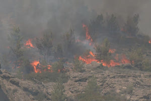 Λασίθι: Υπό μερικό έλεγχο η φωτιά