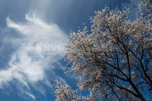 Η «ψυχρή λίμνη» φέρνει μπόρες από το μεσημέρι – Πόσο επηρεάζεται η Κρήτη